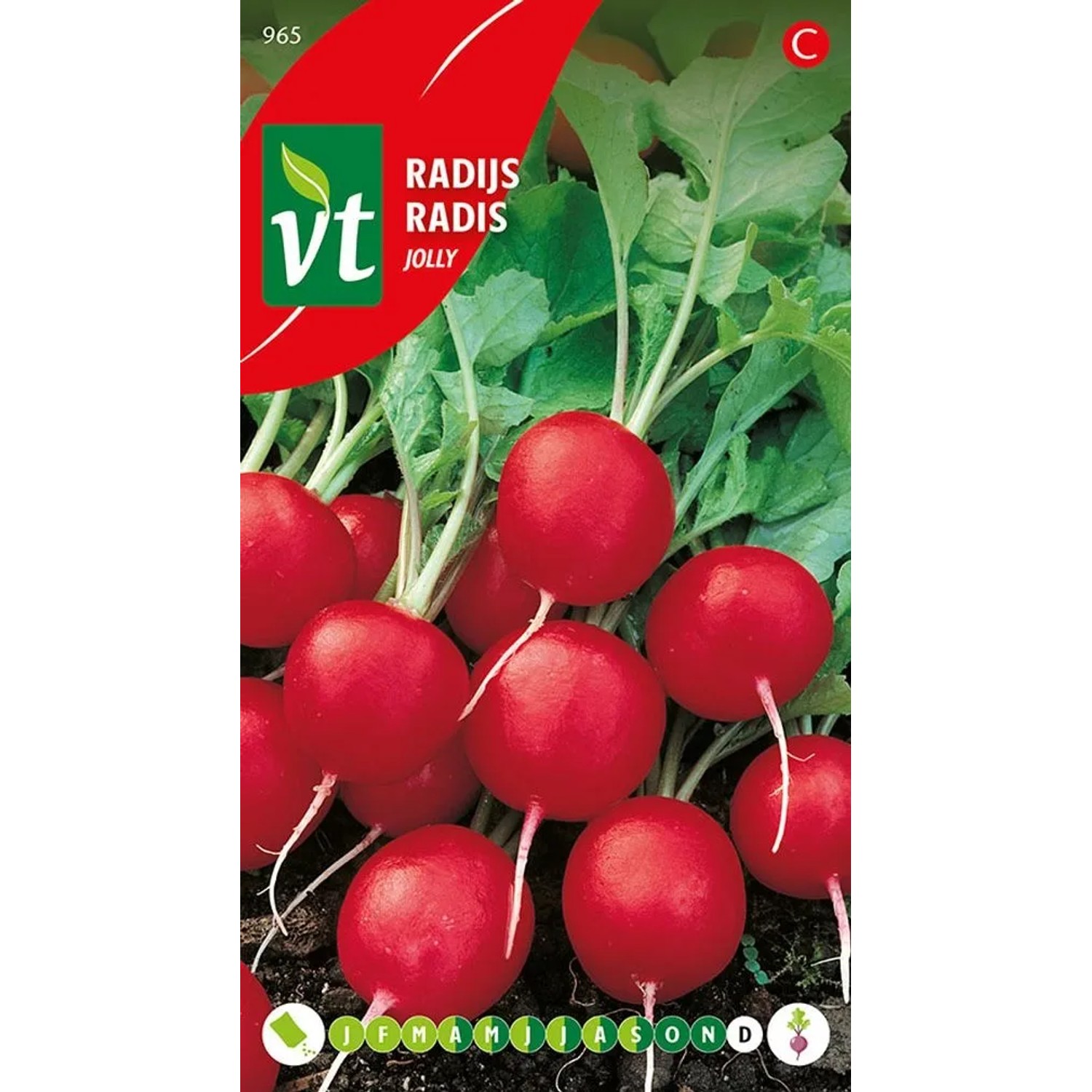 Radieschen 'Jolly' Saatgut Circa 8 g Schnell Wachsend