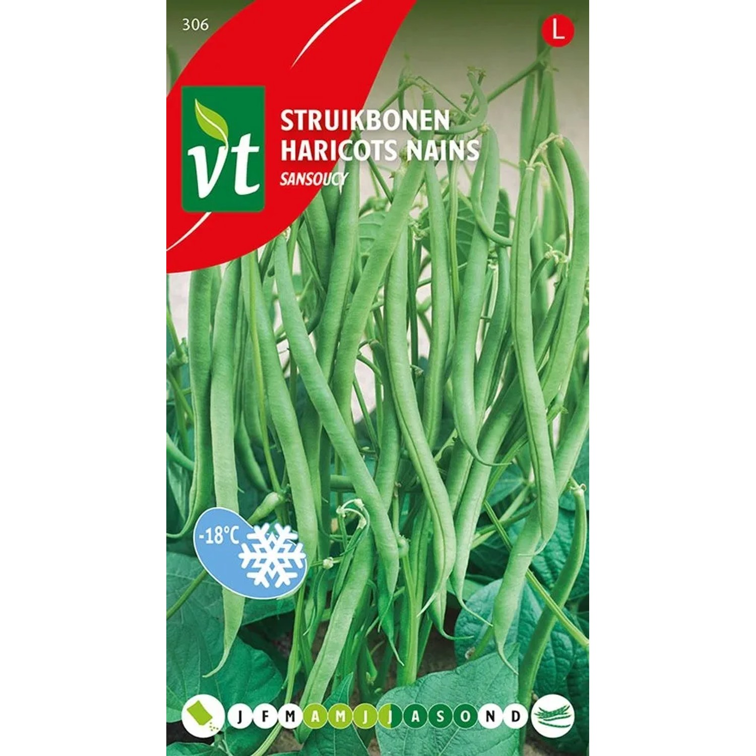 Buschbohne 'Sansoucy' Saatgut Circa 25 g Sehr Ertragreich
