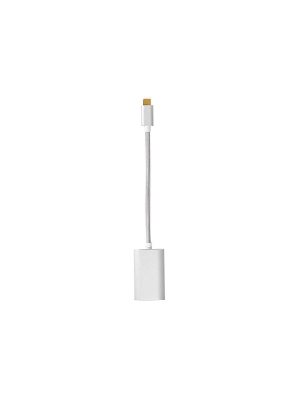 Nedis Fabritallic - USB / DisplayPort adapter - 20 cm