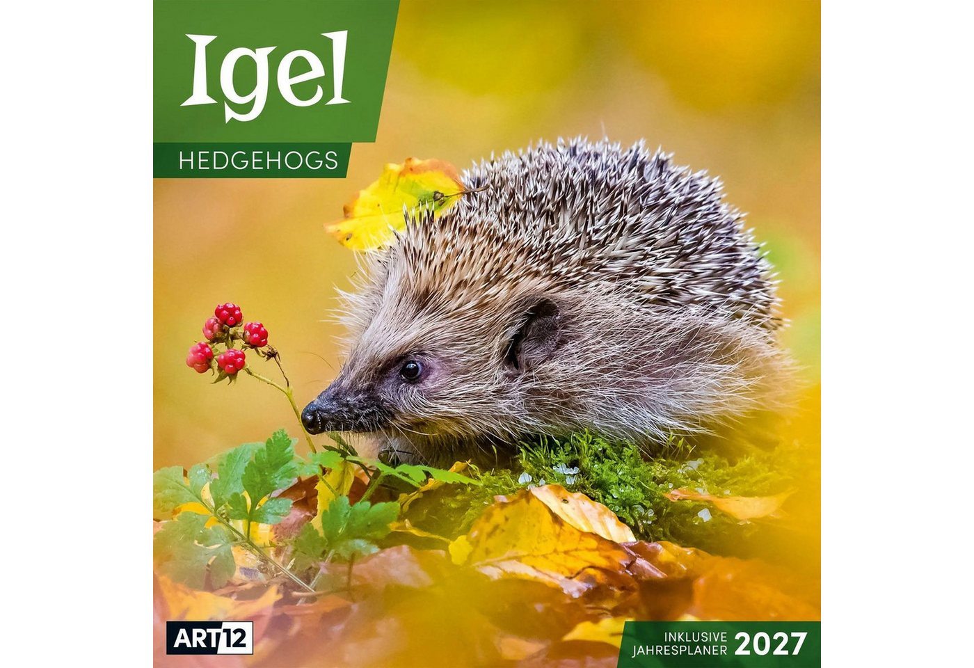Ackermann Wandkalender Igel Kalender 2027 - 30x30 - Art12 Bild 5