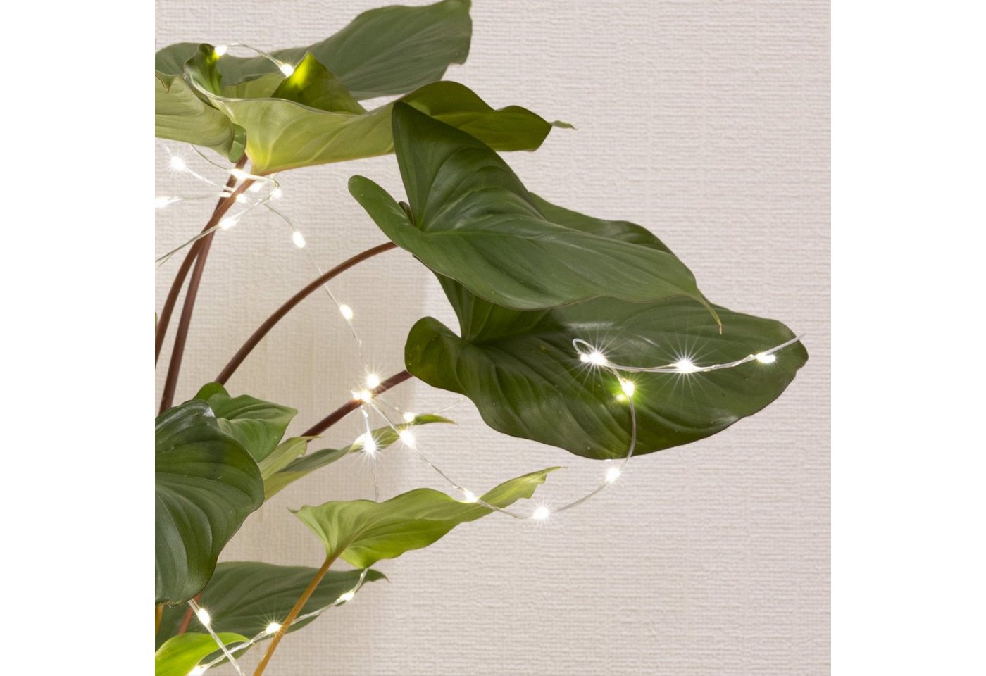 MARELIDA LED-Lichterkette LED Draht Lichtbündel Pflanzenbeleuchtung Blumenstrauß 8 Stränge 100cm, 160-flammig