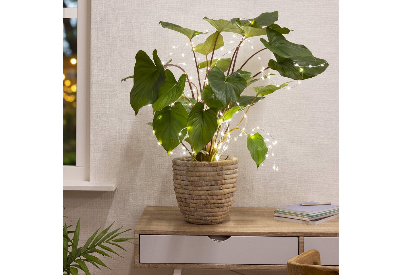 MARELIDA LED-Lichterkette LED Draht Lichtbündel Pflanzenbeleuchtung Blumenstrauß 8 Stränge 100cm, 160-flammig Bild 4