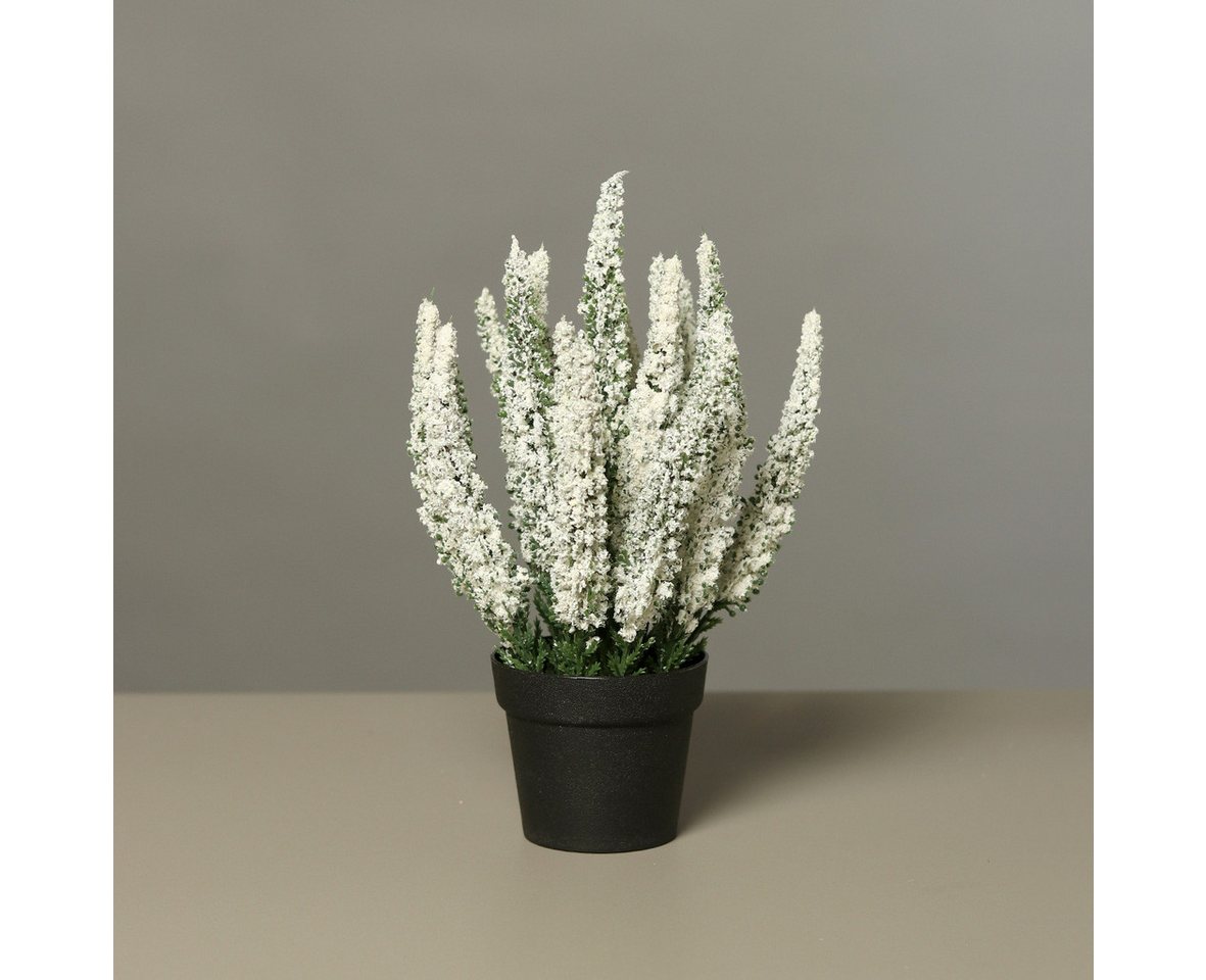 Kunstpflanze Künstliche Erika im Topf 27cm mit 19 Blütenstiele, mucPlants