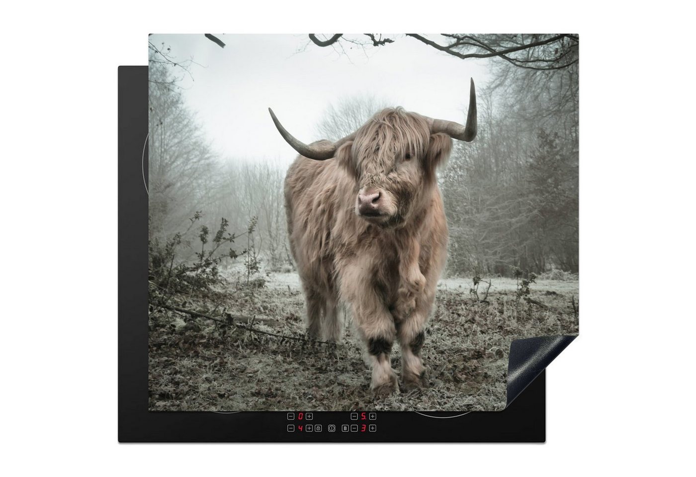 MuchoWow Herd-Abdeckplatte Schottischer Highlander - Wald - Nebel - Kuh - Tiere - Natur, Vinyl, (1 tlg), Ceranfeldabdeckung Küche, Herdabdeckplatte Einteilig, 60x52 cm