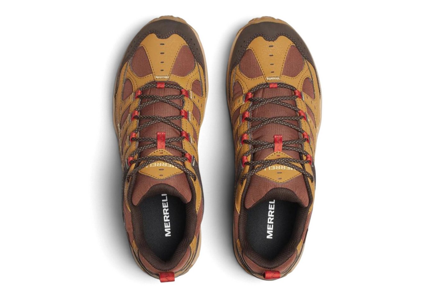 Merrell Accentor 4 Sport GTX (Synthetik/Mesh, wasserdicht) braun Herren Wanderschuh Bild 2