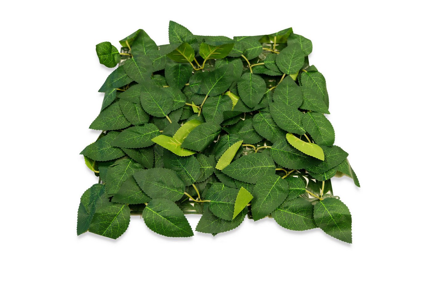 Kunstpflanze Pflanzenwand Roseleaf, Elegante Wandgestaltung, Kubus, Einfach mit anderen Modulen der gleichen Größe kombinierbar Bild 4