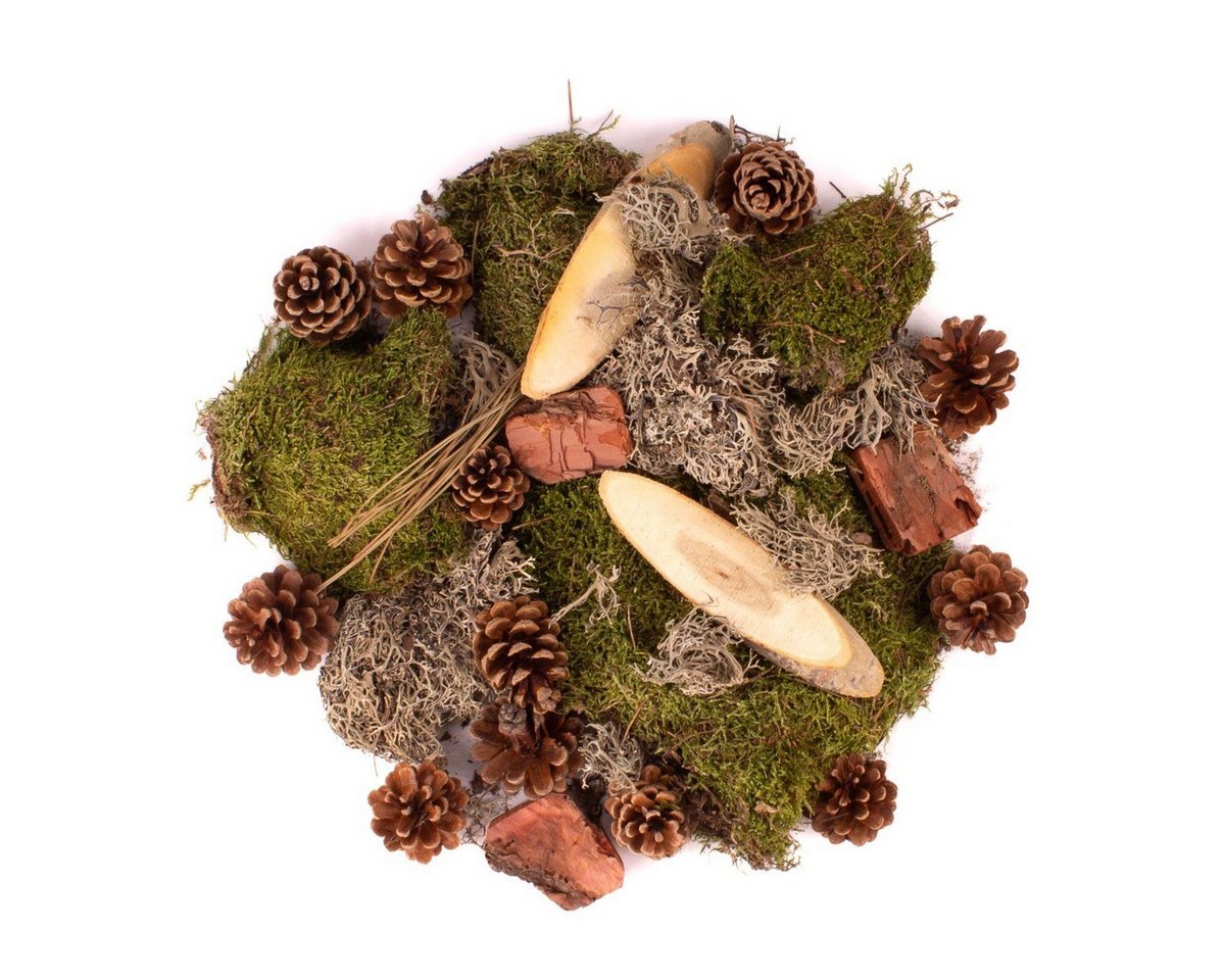 INNA-Glas Streudeko Dekomoos QUIKISA, Zapfen, Holz, Flechten, grün-braun, 500g Bild 2