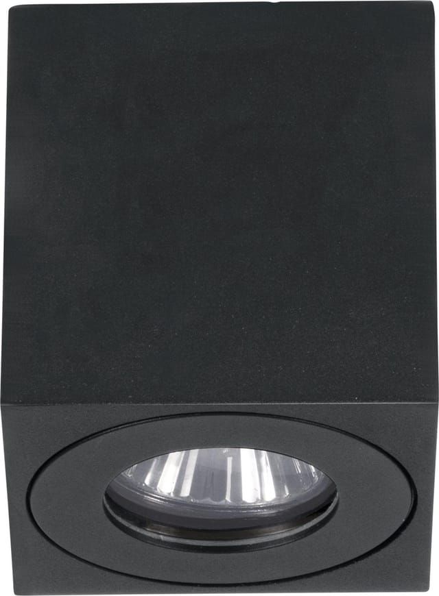 EGLO TORRECOLA outdoor ceiling lamp square black