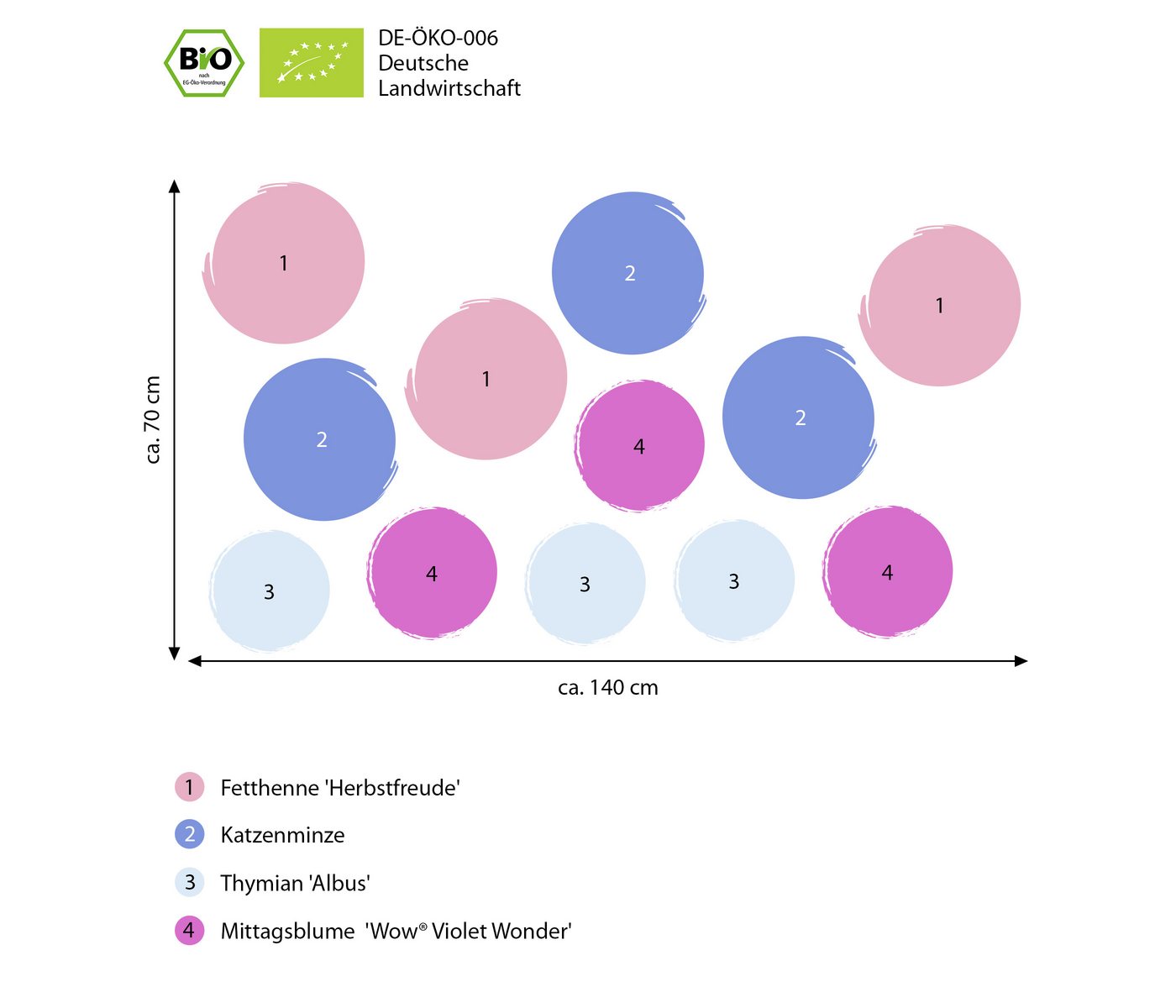 Dehner Staude Bio Stauden-Set Terrassenglück, je 5-20 cm exkl. Pflanztopf, exklusive Landlust Kollektion mit 12 Pflanzen für sonnige Standorte