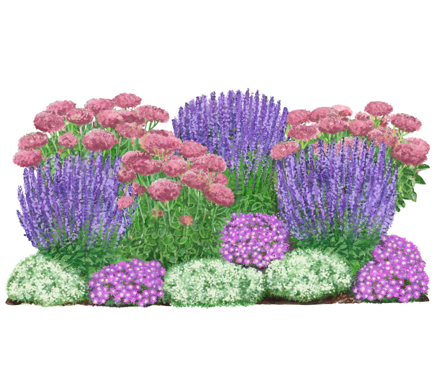 Dehner Staude Bio Stauden-Set Terrassenglück, je 5-20 cm exkl. Pflanztopf, exklusive Landlust Kollektion mit 12 Pflanzen für sonnige Standorte Bild 5