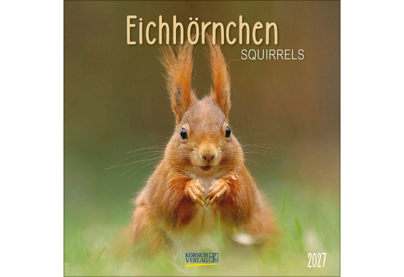 Korsch Verlag Wandkalender Eichhörnchen 2027