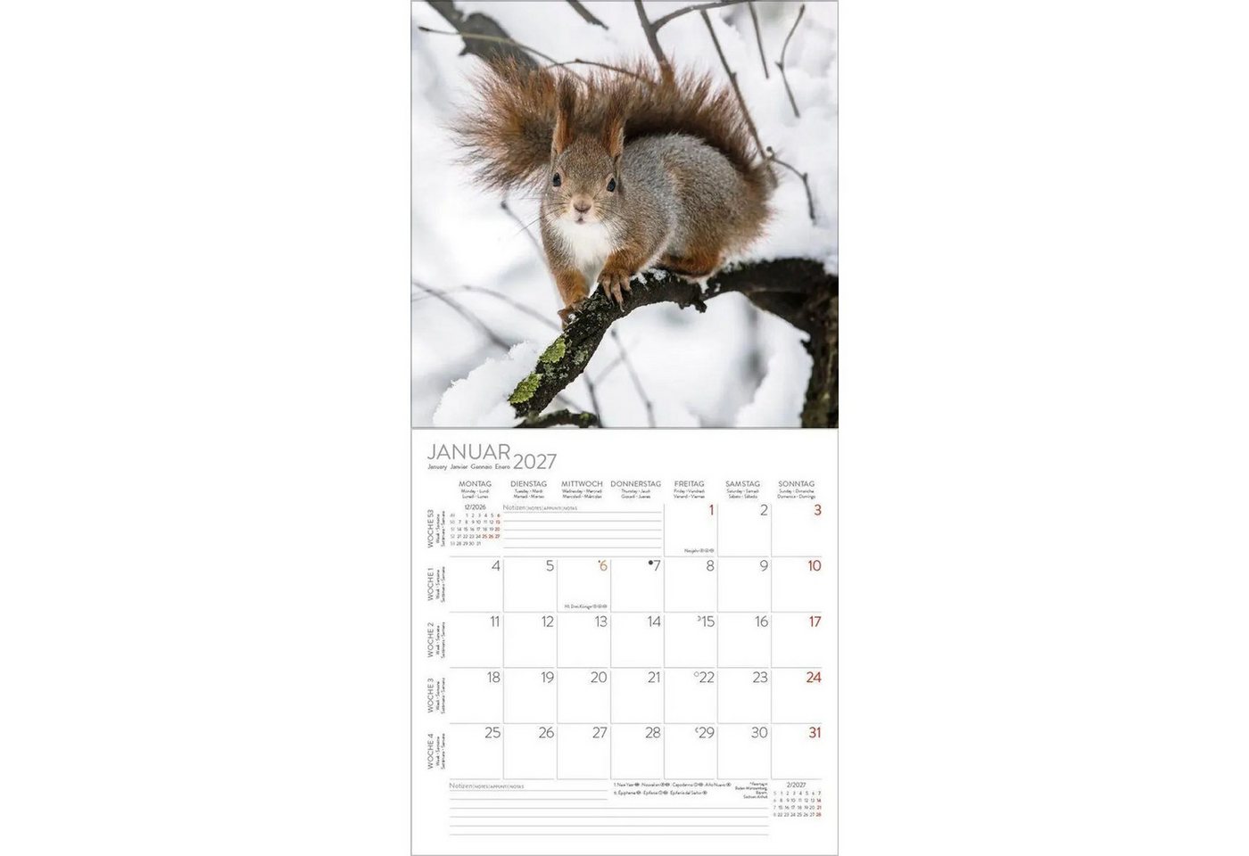 Korsch Verlag Wandkalender Eichhörnchen 2027 Bild 2
