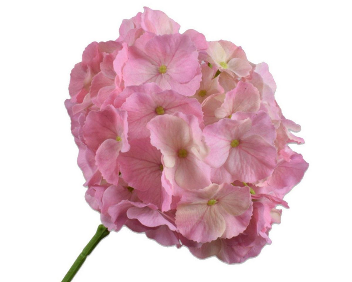 Künstliche Zimmerpflanze Seidenblume Hortensie Hydrangea Pink (75cm), SILK-KA Bild 2