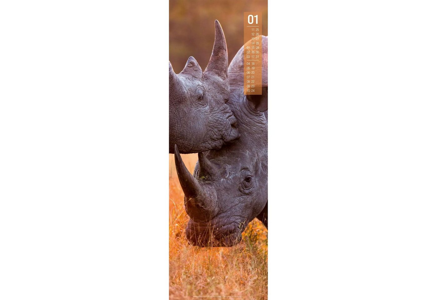 Ackermann Wandkalender Afrika Vertikal Kalender 2027