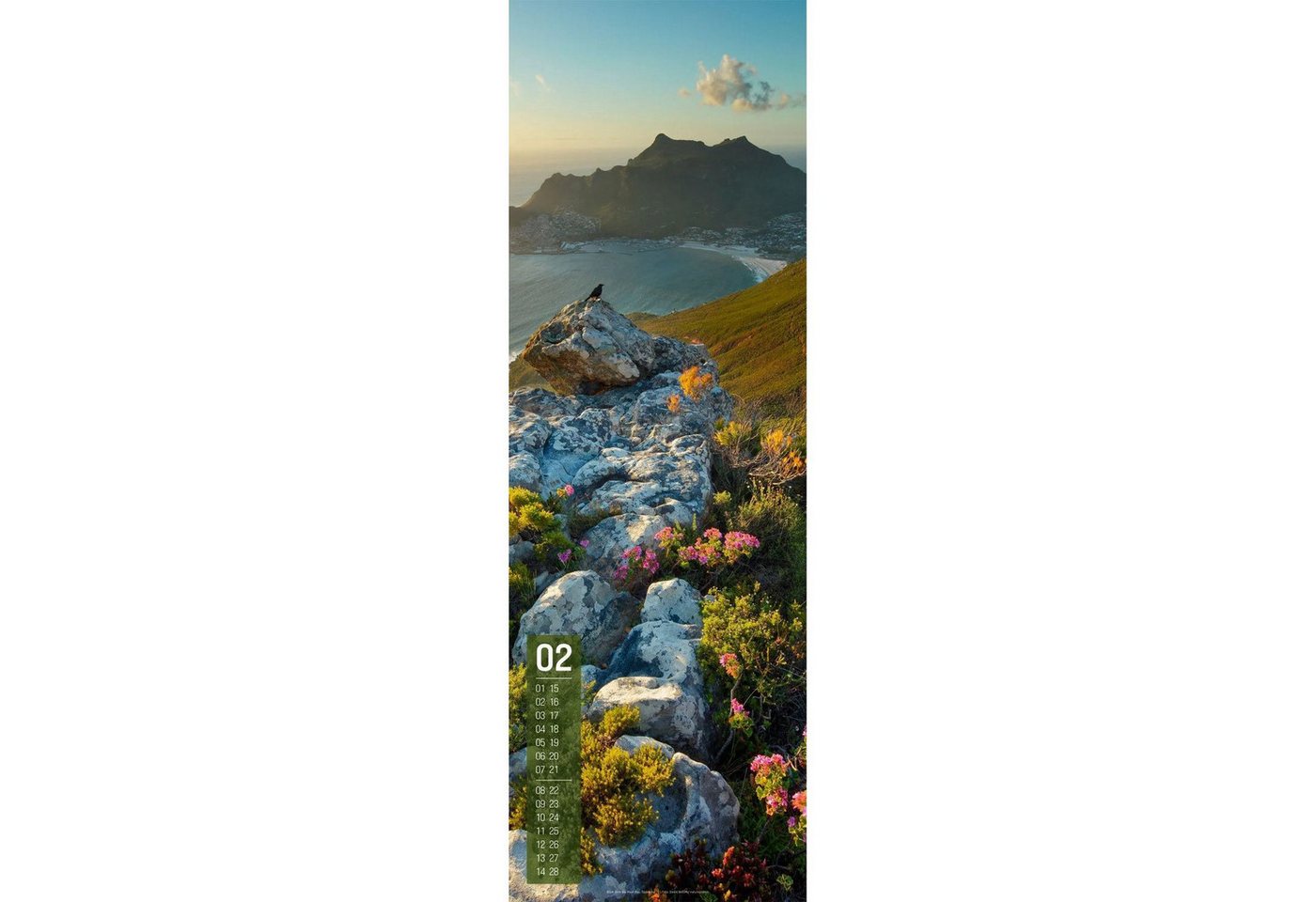 Ackermann Wandkalender Afrika Vertikal Kalender 2027 Bild 3