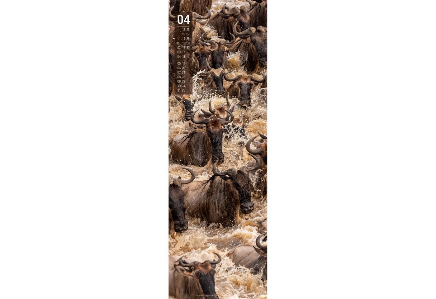 Ackermann Wandkalender Afrika Vertikal Kalender 2027 Bild 4