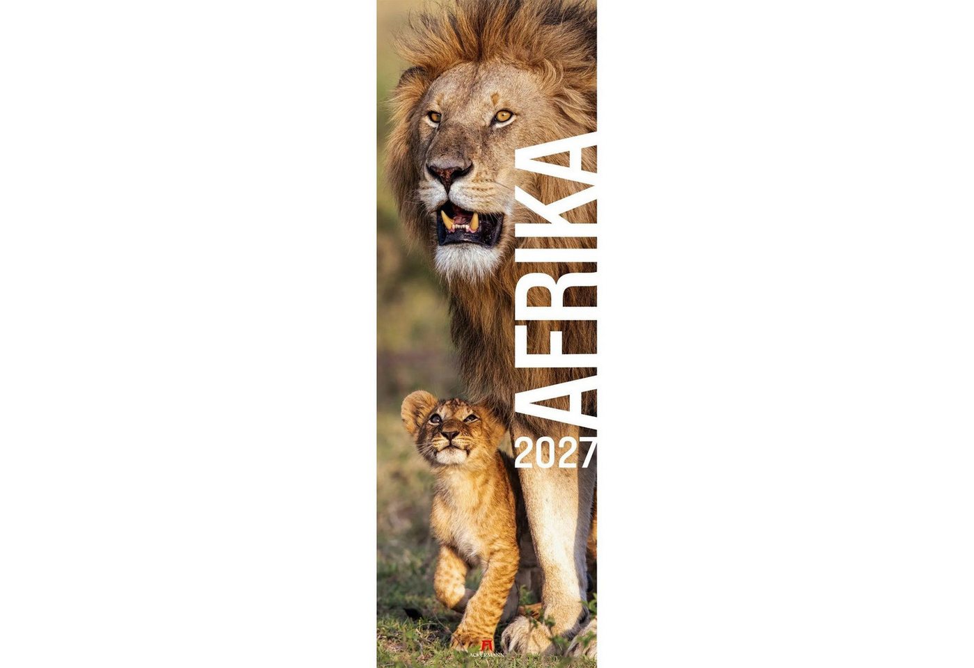 Ackermann Wandkalender Afrika Vertikal Kalender 2027 Bild 5