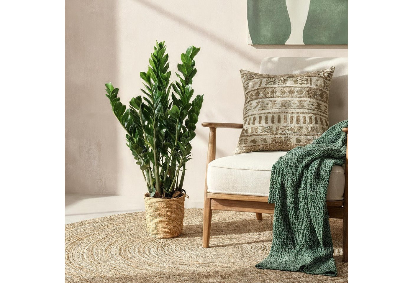 Florora Zimmerpflanze Zamioculcas – 90 cm Bild 4