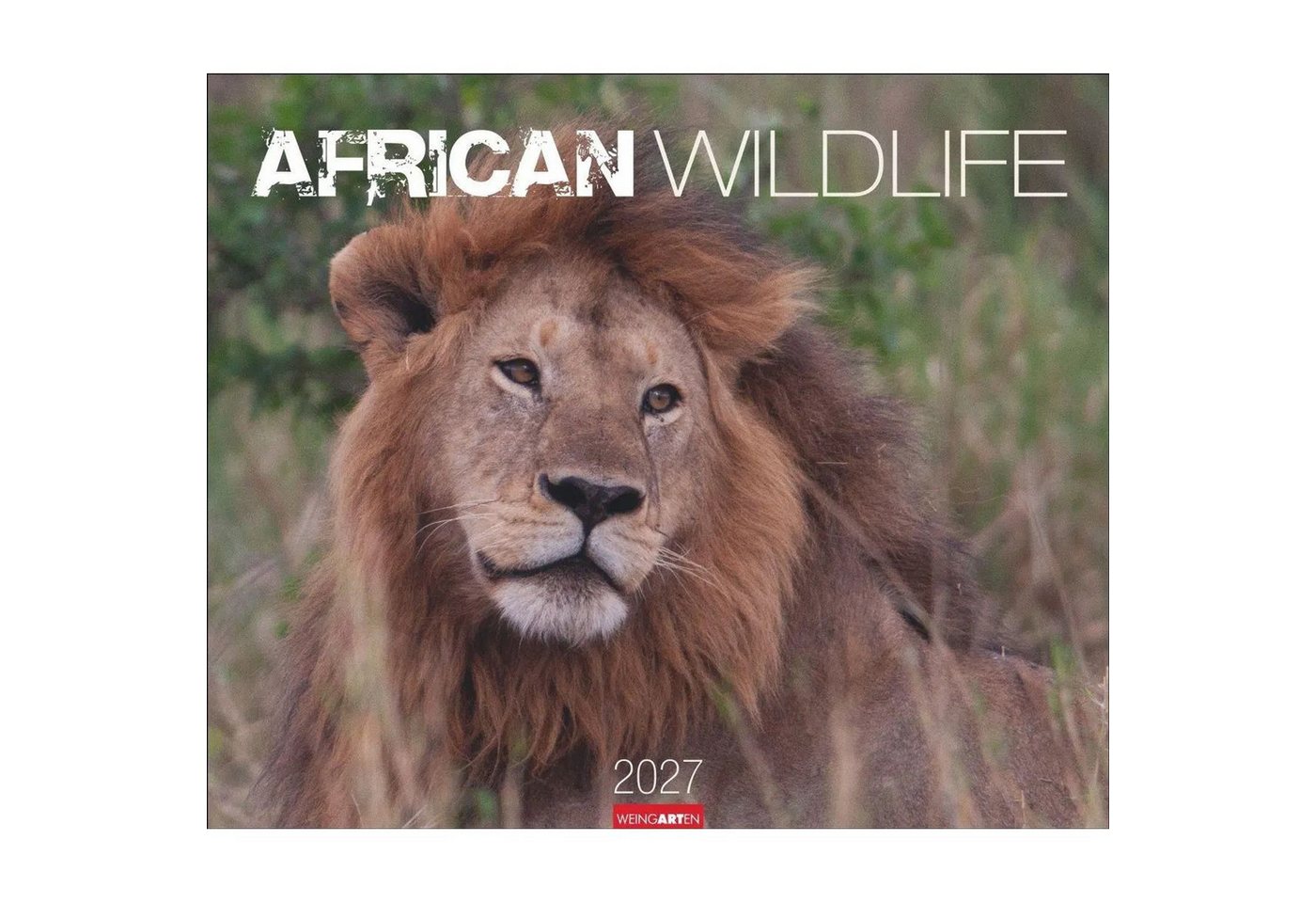 Wandkalender African Wildlife Kalender 2027 Bild 3