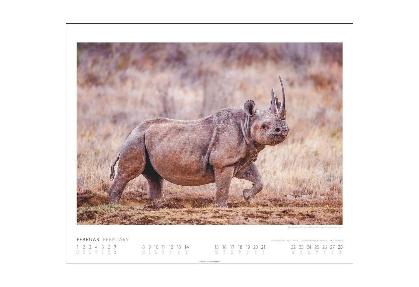 Wandkalender African Wildlife Kalender 2027 Bild 5