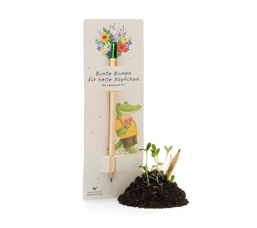 Die Stadtgärtner Bleistift Mit Wildblumen-Samenkapsel zum Schreiben & Einpflanzen, inkl. Samenkapsel, vorgeschärft, leicht Bild 3