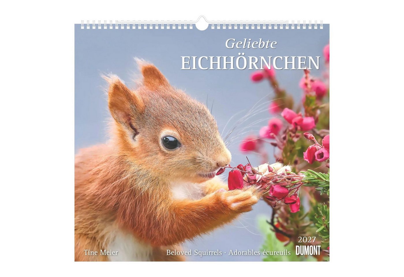 Wandkalender Geliebte Eichhörnchen 2027 Bild 5
