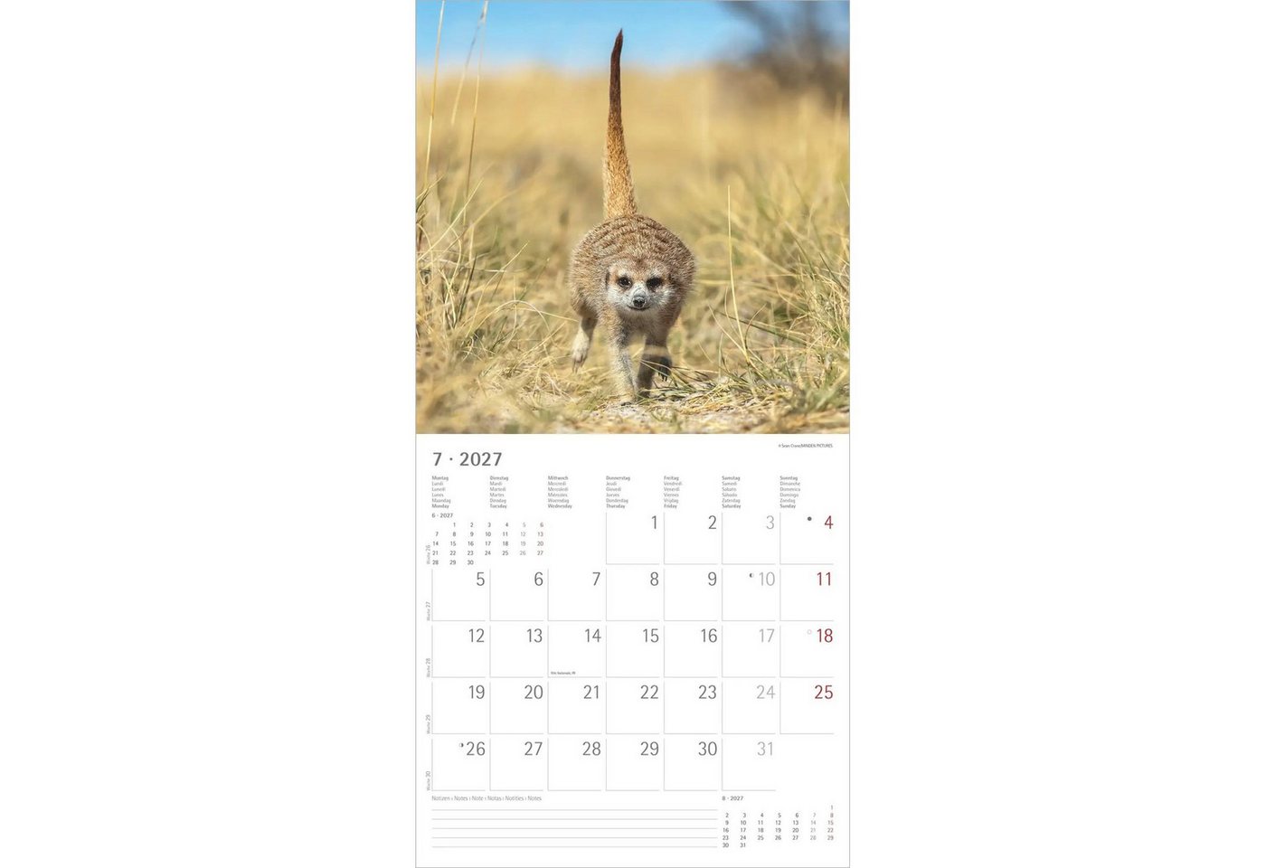 Wandkalender Erdmännchen 2027