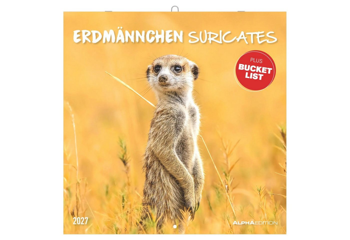 Wandkalender Erdmännchen 2027 Bild 4