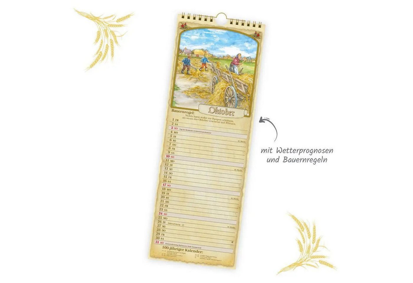 Trötsch Verlag Wandkalender TRÖTSCH - Maxi-Streifenkalender Bauernkalender 2027 mit... Bild 3