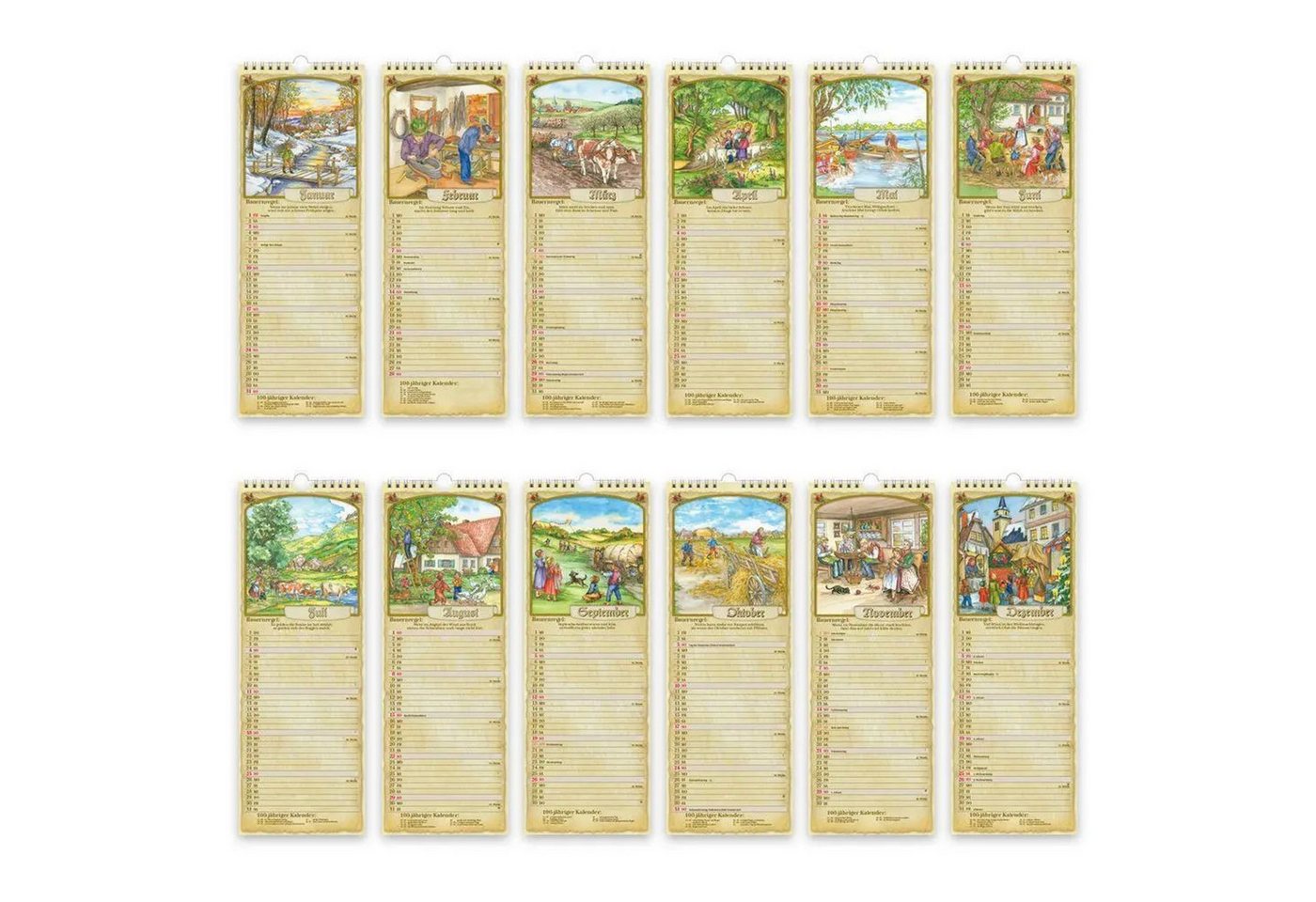 Trötsch Verlag Wandkalender TRÖTSCH - Maxi-Streifenkalender Bauernkalender 2027 mit... Bild 4