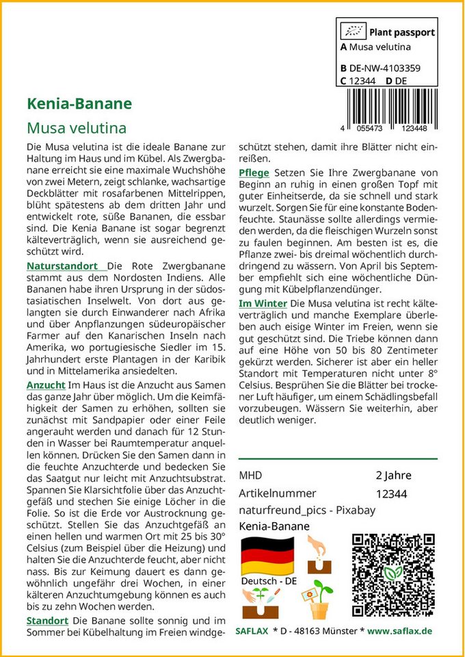SAFLAX Blumensamen SAFLAX - Samen - Kenia-Banane Bild 5