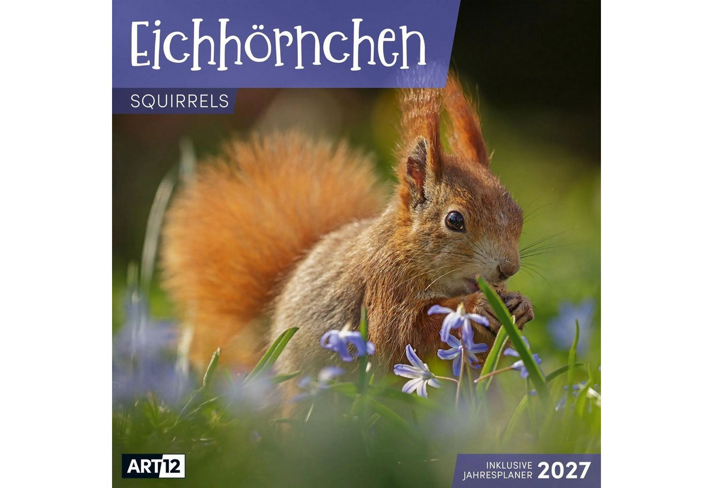 Ackermann Wandkalender Eichhörnchen Kalender 2027 - 30x30 - Art12 Bild 3