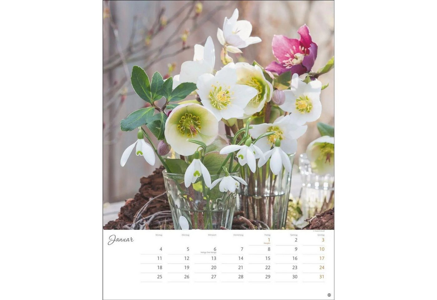 HEYE Wandkalender Bunter Blütenzauber Posterkalender 2027 Bild 5