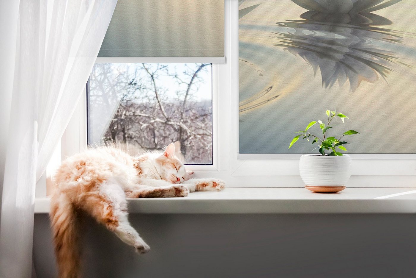 Rollo für Fenster mit Aufdruck Lotus Blume, Tulup, abdunkelnd, Verschraubung, Bedruckt Bild 2