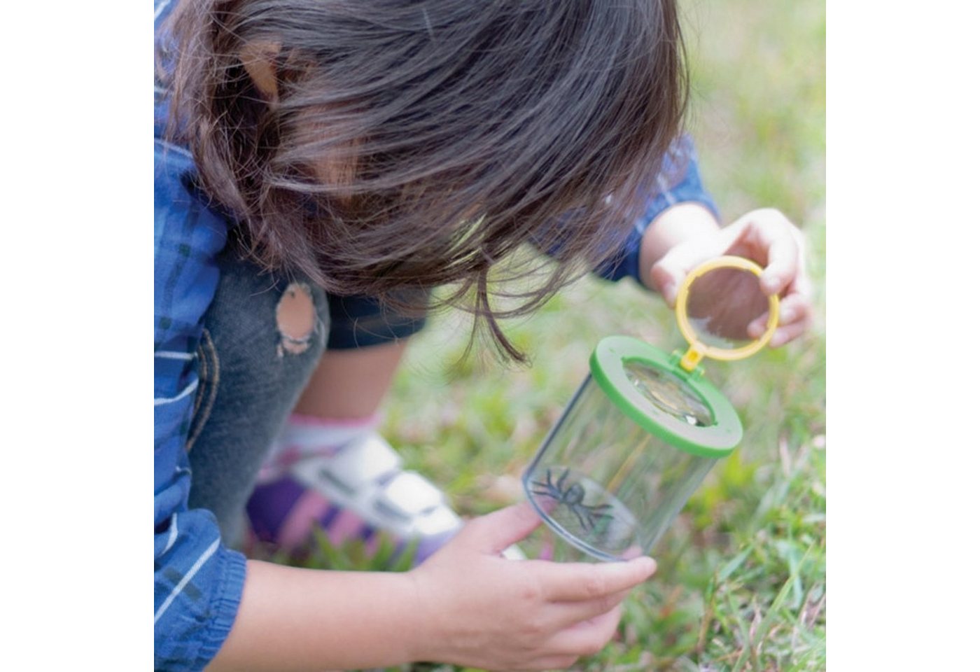Edu-Toys Becherlupe Lupendose Becherlupe Insektenlupe grün, 2 bis 10 Stück bitte Variante auswählen, 3-tlg., wie für die Varianten notiert, mit Luftlöchern und mm-Skala Bild 3