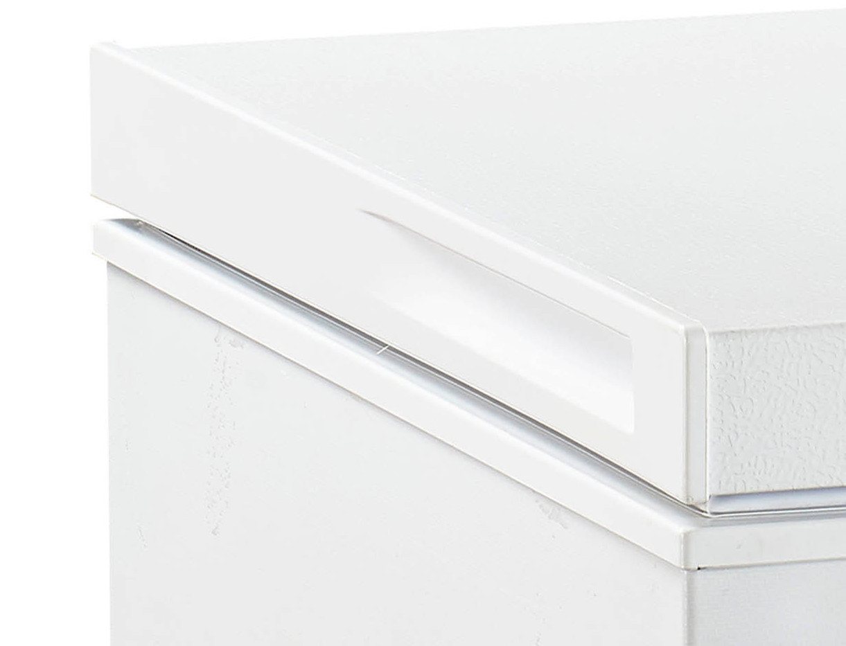 FrigeluX Gefriertruhe CCO300BD, 290 l, großes netto Fassungsvermögen von 290L Bild 2