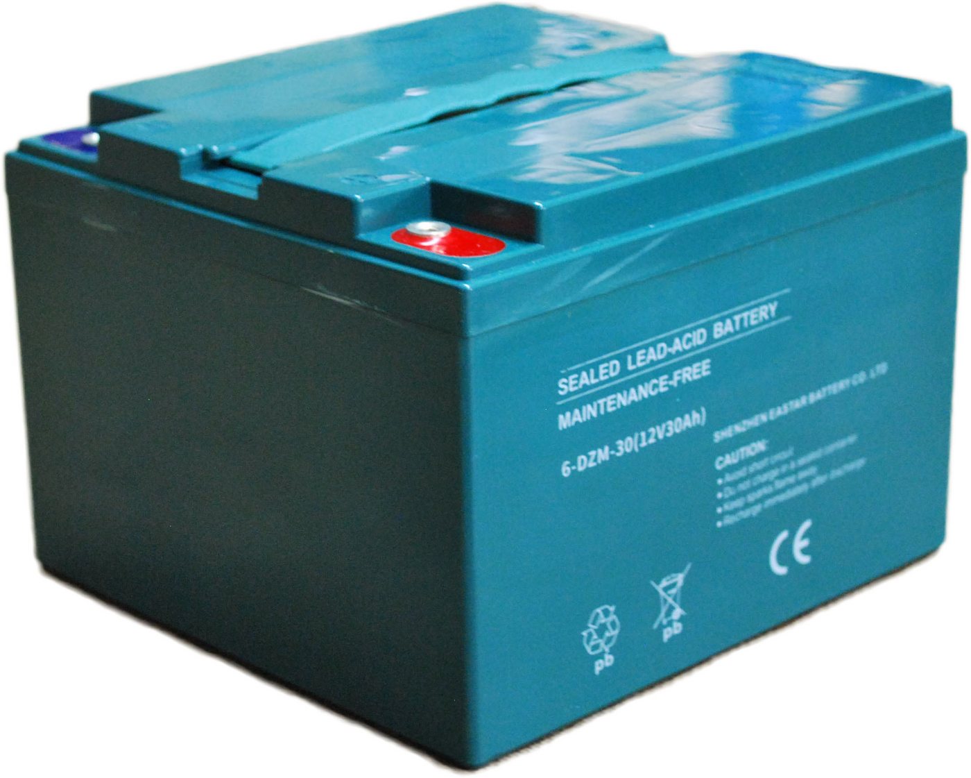 Electro-Fun Akku 6-DZM-30 12V 30Ah Bleiakku 12 Volt 30 Ah Aufladbar Akku Bild 2