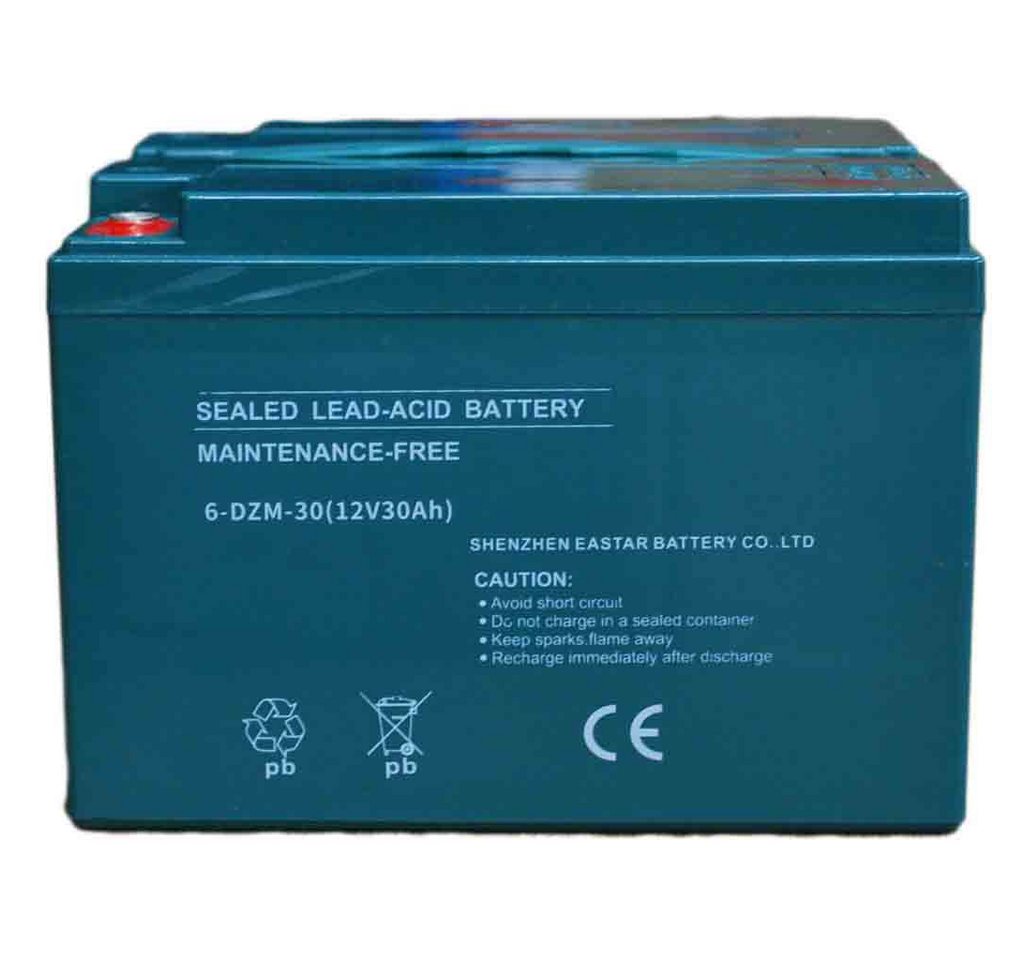 Electro-Fun Akku 6-DZM-30 12V 30Ah Bleiakku 12 Volt 30 Ah Aufladbar Akku Bild 3