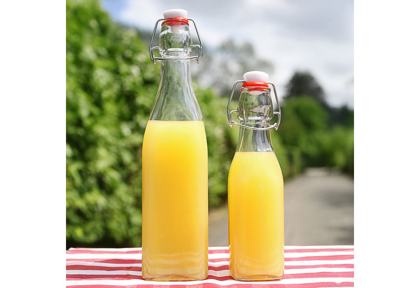 CEPEWA Isolierflasche Bügelflasche 6er Set eckig 6,5x20cm 250ml Glas Metall Dichtung