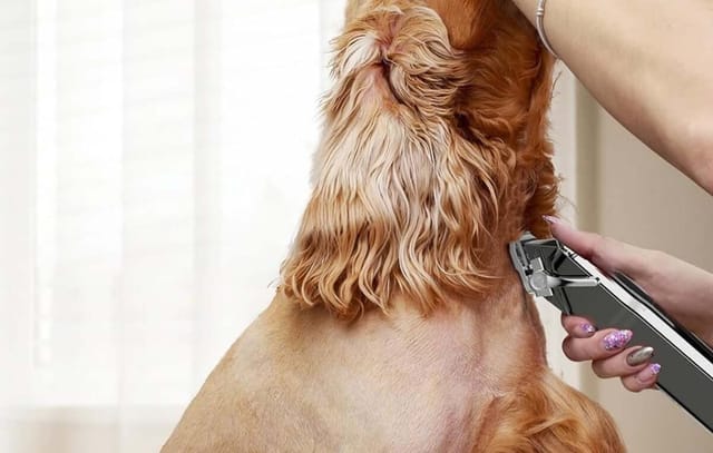 Oneisall Trimmer / Pet Clipper RFC-676