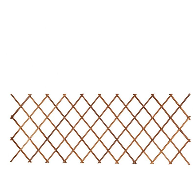 Zvd Spalier, Korrosionsbeständiger Ausziehbarer Kletterrahmen Für Hofgartenwand - 44x31 Cm, 1 Stück