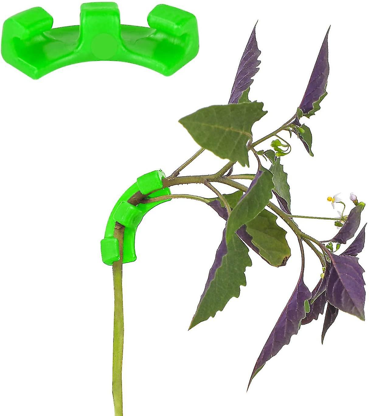 Packung Mit 30 Grünen Rechtwinkligen Gartenclips (lst) - Packung Mit 30 Rechtwinkligen Gartenclips (lst) Für Stressarme Rankhilfen Und Pflanzenstützen