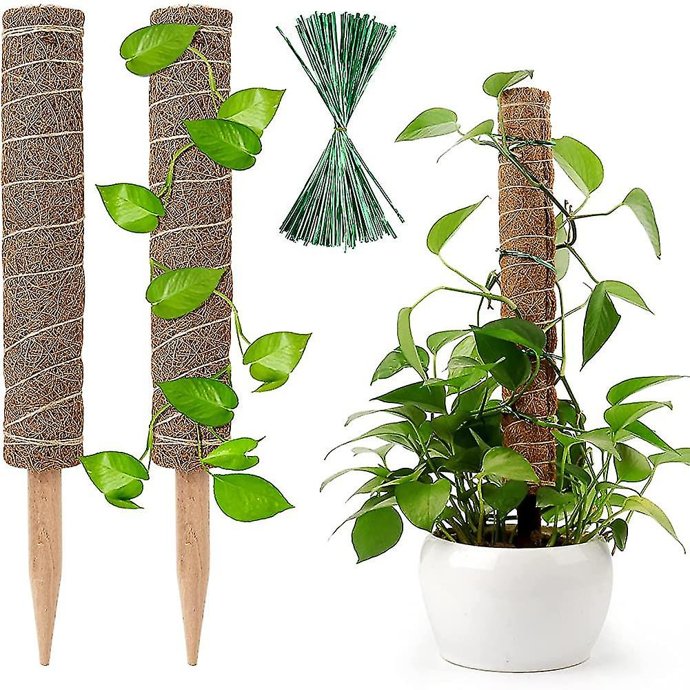 Set Bestehend Aus 2 Kokosnussstämmen Und Einer 40 Cm Langen Monstera-pflanzenstütze Mit Moos Für Zimmerpflanzen (monstera 'chenny Plant'-typ).