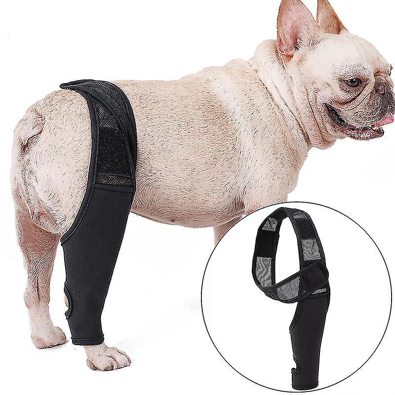 Verstellbare Kniebandage Für Hunde (bei Kreuzbandriss, Kniegelenksluxation Und Arthritis) – Bietet Zusätzliche Unterstützung, Lindert Schmerzen Und Entzündungen – Hält Die Gelenke Warm