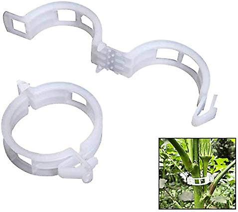 Pflanzclips Aus Kunststoff Für Kletterpflanzen, Ideal Zur Unterstützung Von Tomaten, Paprika, Kletterpflanzen Und Aufrecht Wachsenden Blumen.