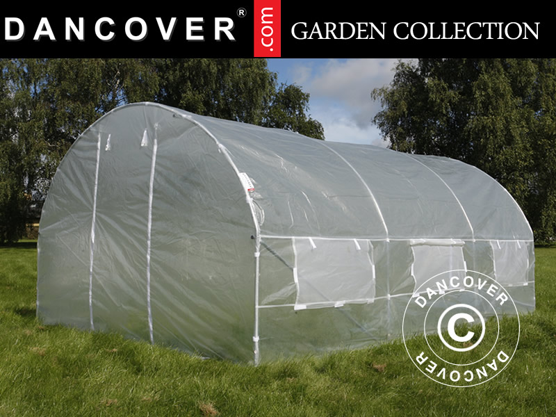 Dancover - Foliengewächshaus 4x4x2m, 16m², Durchsichtig