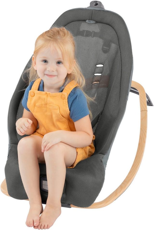 Ingenuity Every Season Rocking Seat - Wesley