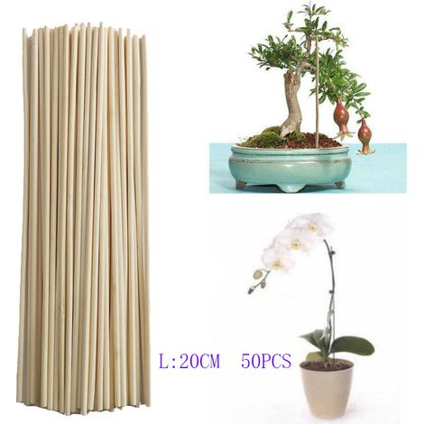 Barre De Bambou Barre De Support De Croissance Des Plantes Petit Bonsaï Branche De Vigne Diy Outil De Jardinage 3mm 20cm 50pcs