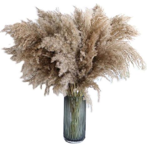 Herbe De La Pampa, 20 Pièces, 60 Cm, Séchée Naturellement, Mariage, Bouquet Tendance, Fleurs Artificielles, Pour Décoration Intérieur, Vases Intérieur