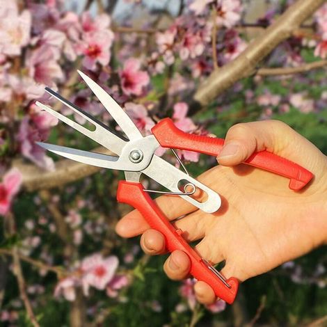 Bravix Ciseaux À Éclaircir Les Fruits Et Les Fleurs À Double Port, Sécateur De Jardin Ciseaux Avec Poignée Confortable, Parfait Pour Tailler Les Plantes, Herbes Hydroponiques, Cueillir Des Fleurs-